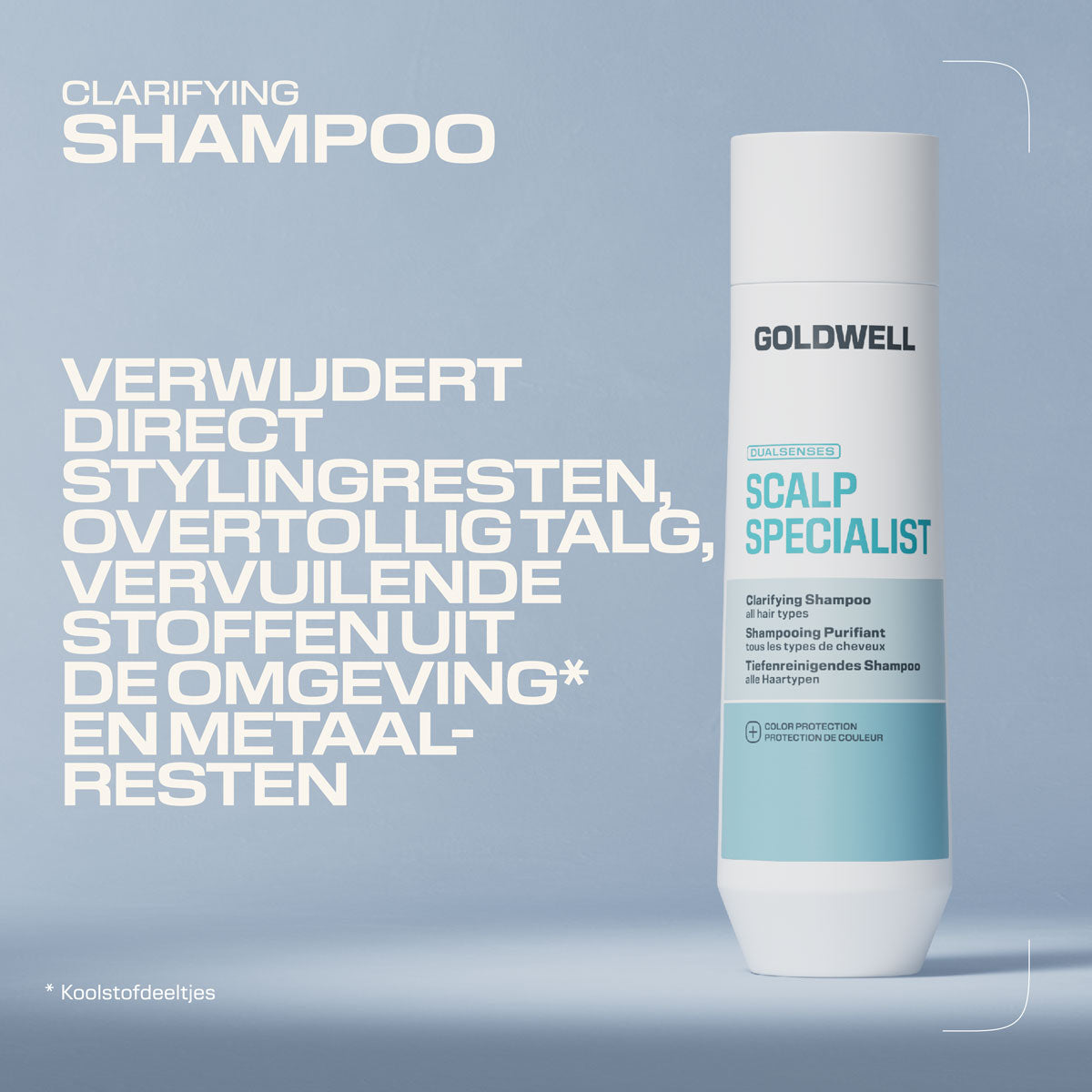 Goldwell Dualsenses Scalp Specialist Clarifying Shampoo