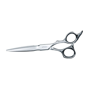 ciseaux de coiffure