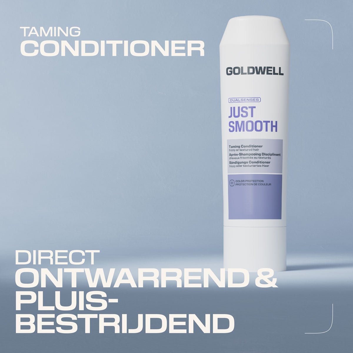 Goldwell Dualsenses Just Smooth Taming Conditioner - KOOS • alles voor de kapper - Goldwell - Conditioner