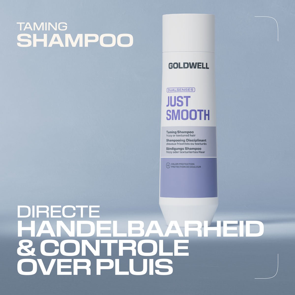 Goldwell Dualsenses Just Smooth Taming Shampoo - KOOS • alles voor de kapper - Goldwell - Shampoo