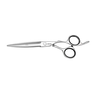 ciseaux de coiffure