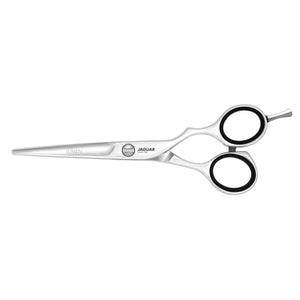ciseaux de coiffure