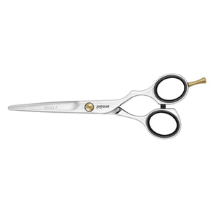 ciseaux de coiffure