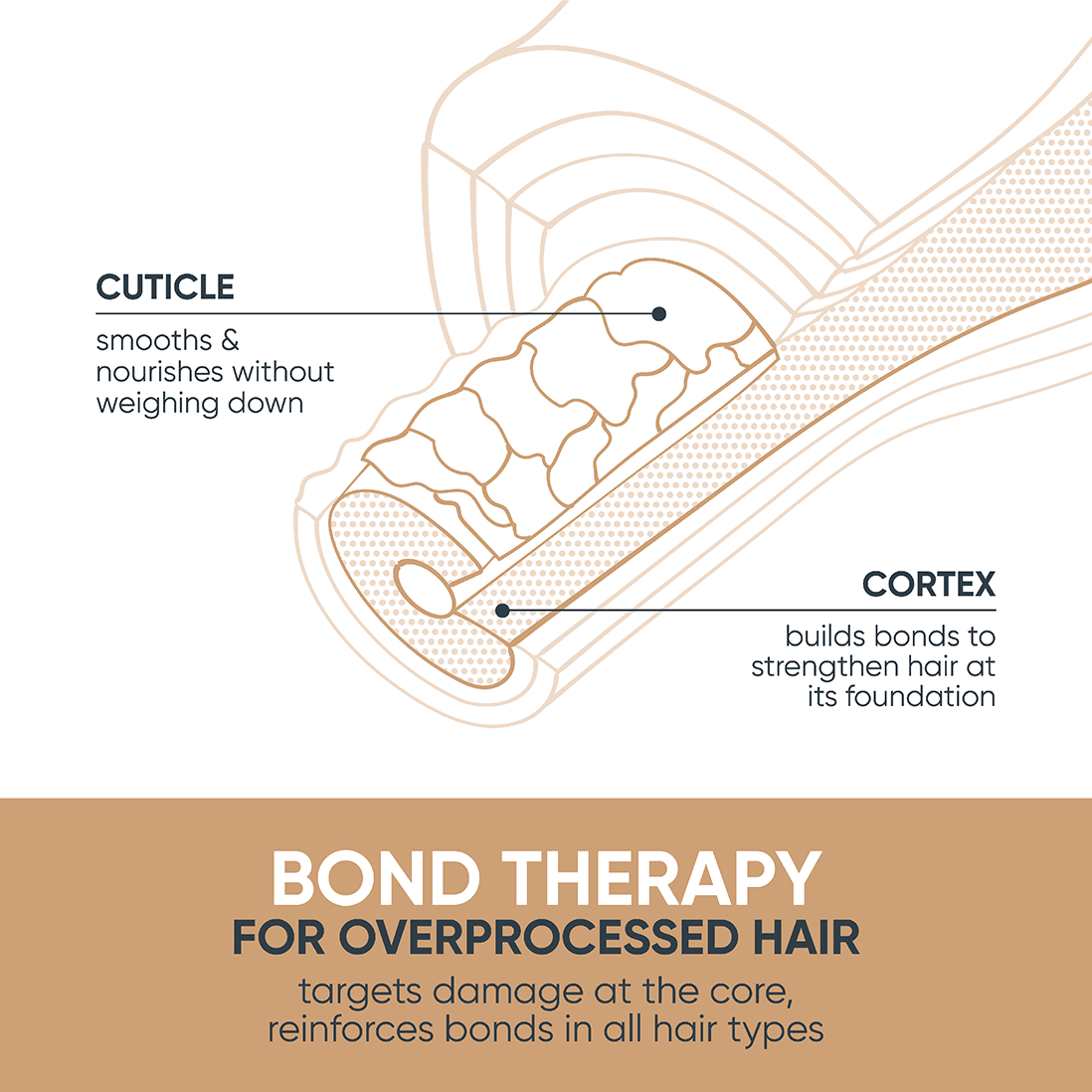 Matrix Biolage Bond Therapy Conditioner 1000ml - KOOS • alles voor de kapper - Matrix - Plex & Bond