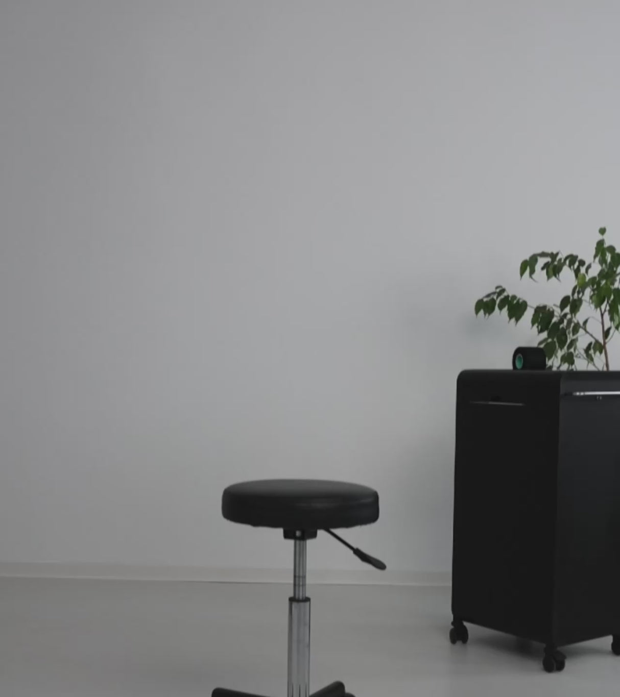 Trend Design Halskettenstreifen Schwarz 250 Stück